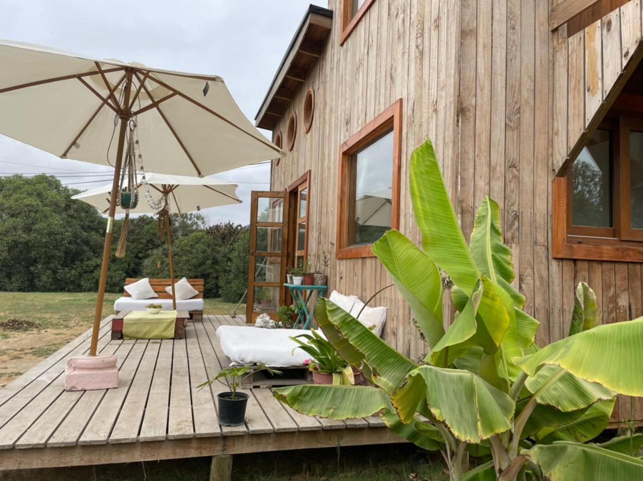 El Arbol Eco Lodge Λα Σερένα Δωμάτιο φωτογραφία